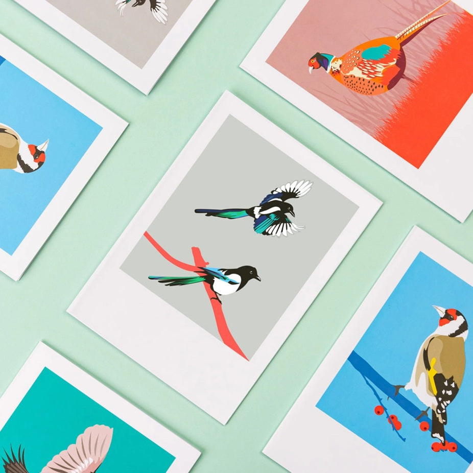 Bird Greeting Cards Box