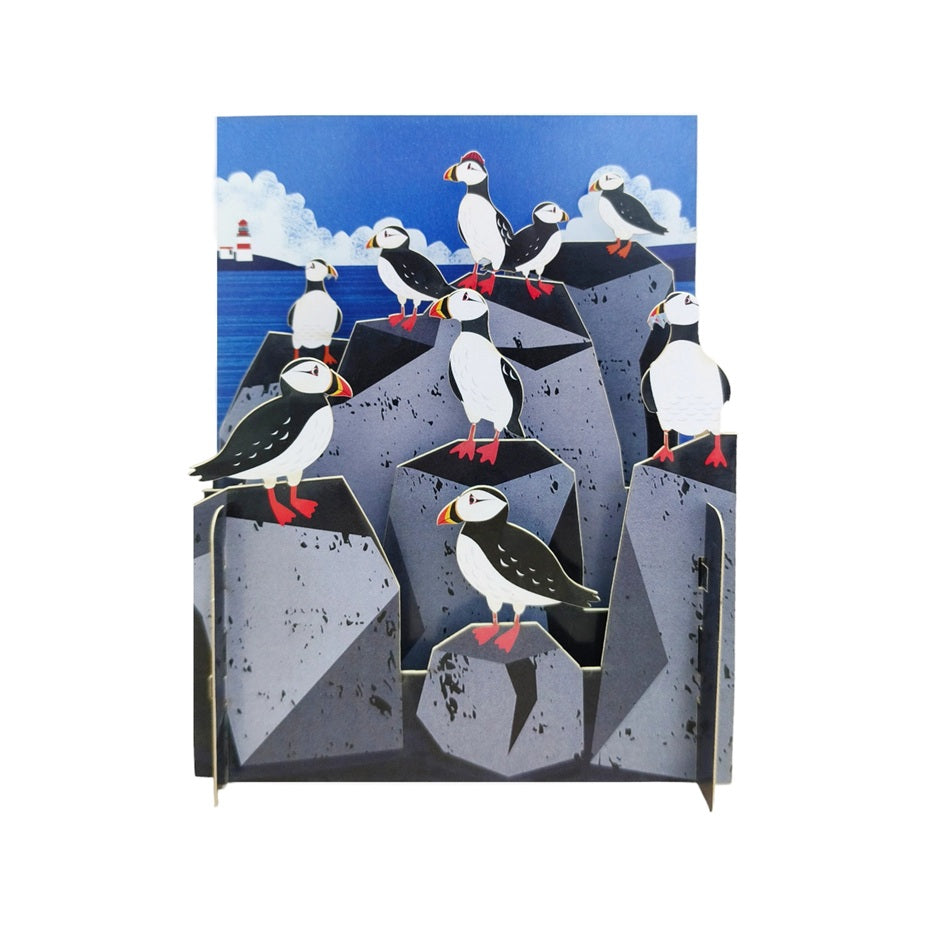 Irish Puffins Pop Up Greeting Card
