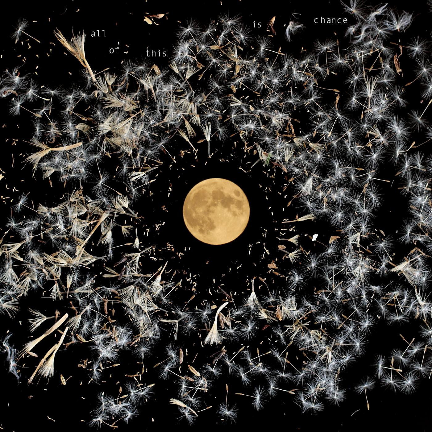 Lisa O'Neill - All Of This Is Chance LP