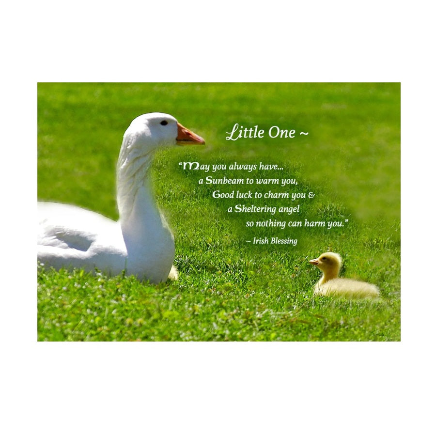 Sheltering Angel New Baby Card