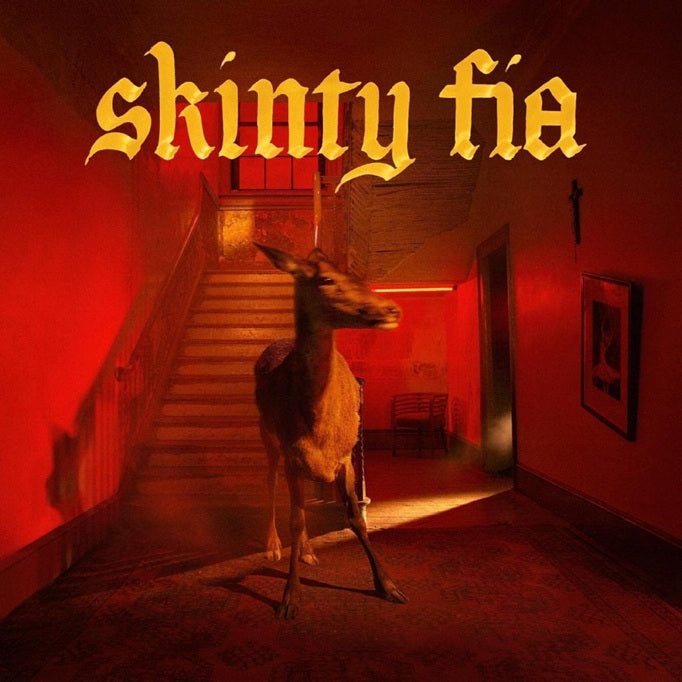 D.C. Fontaines - Skinty Fia LP