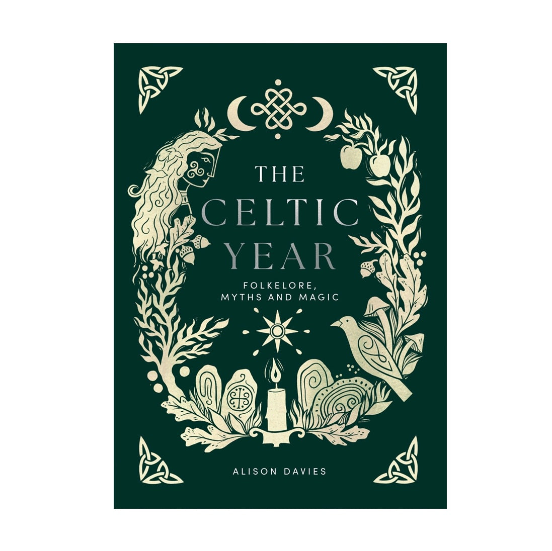 The Celtic Year by Alison Davies