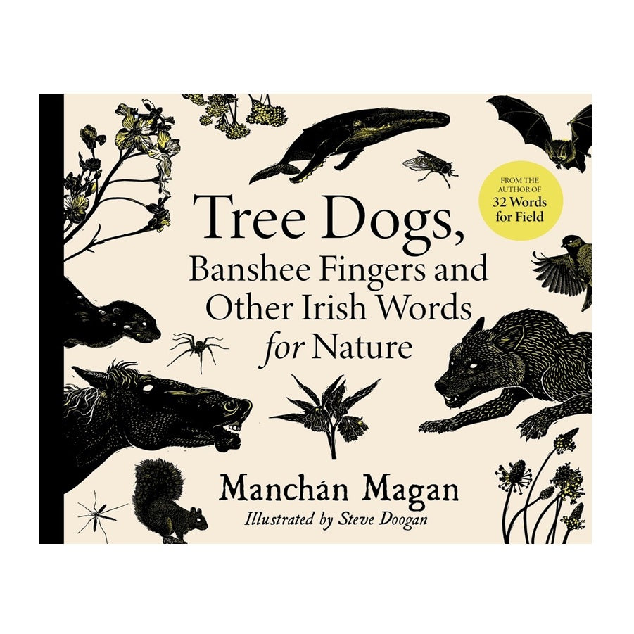 Tree Dogs, Banshee Fingers, and Other Irish Words for Nature