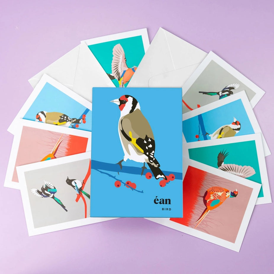 Bird Greeting Cards Box