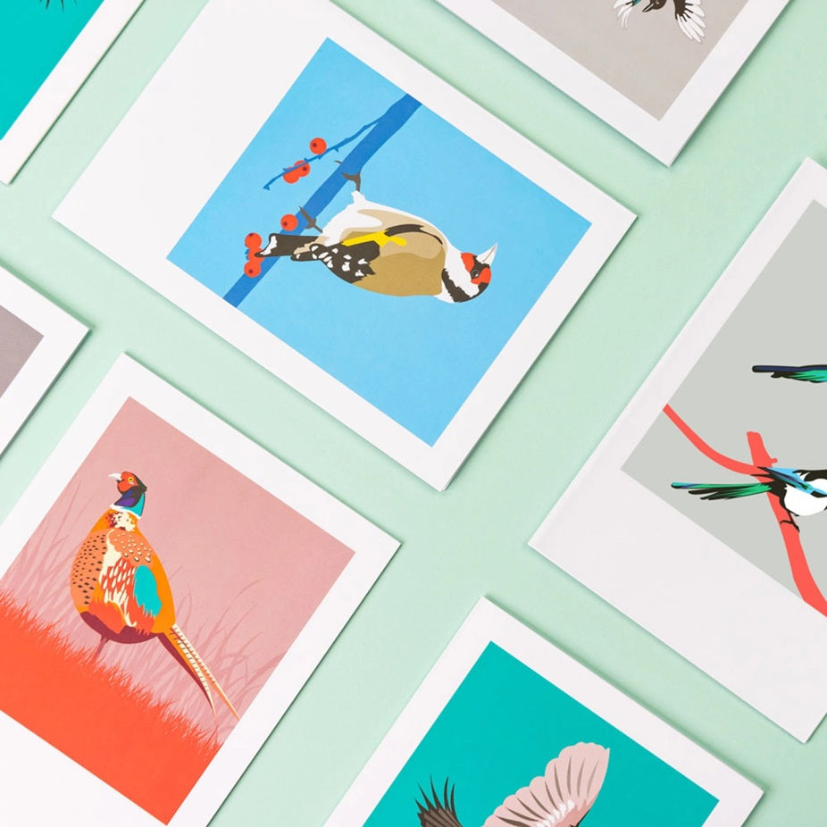 Bird Greeting Cards Box