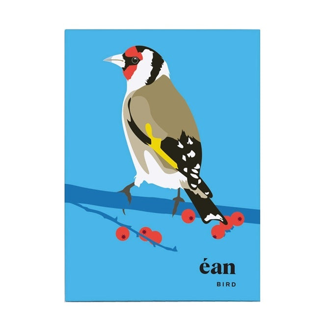 Bird Greeting Cards Box