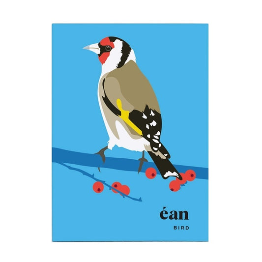 Bird Greeting Cards Box