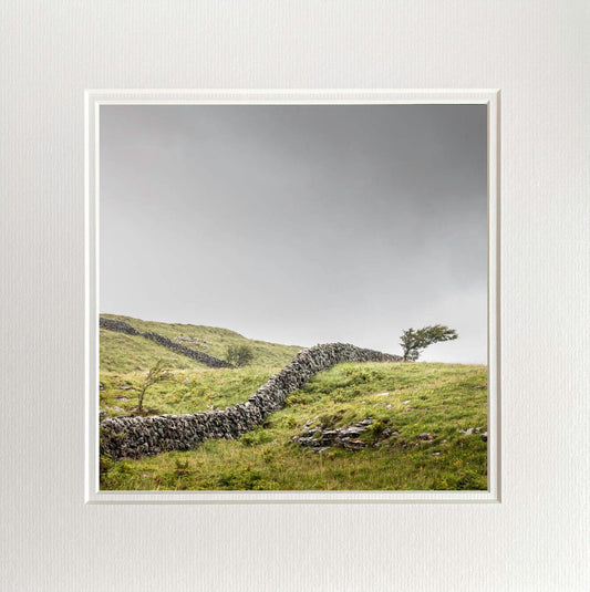 Lone Burren Tree Photo Print