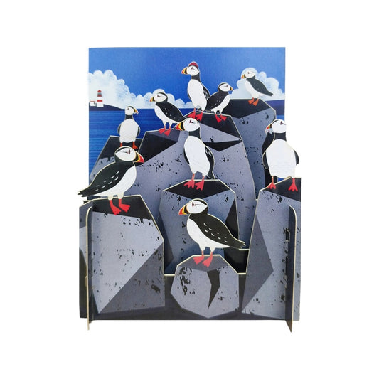 Irish Puffins Pop Up Greeting Card