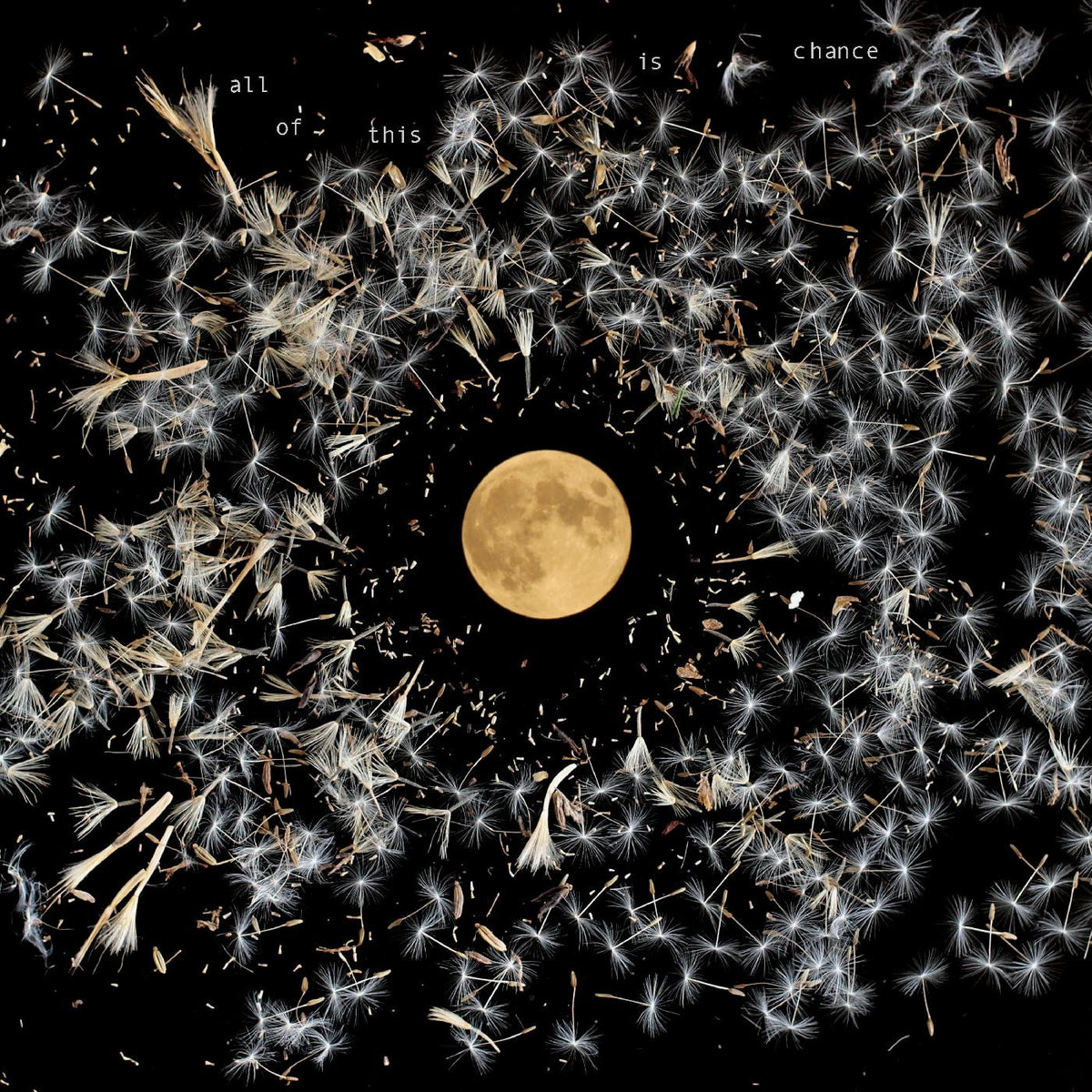 Lisa O'Neill - All Of This Is Chance LP
