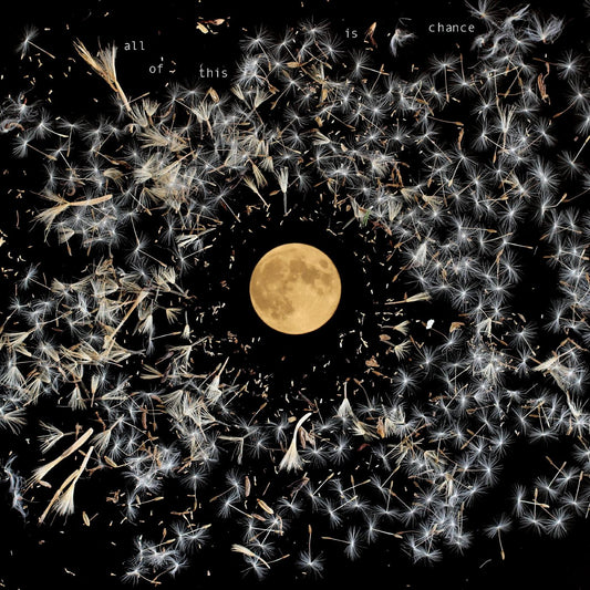 Lisa O'Neill - All Of This Is Chance LP