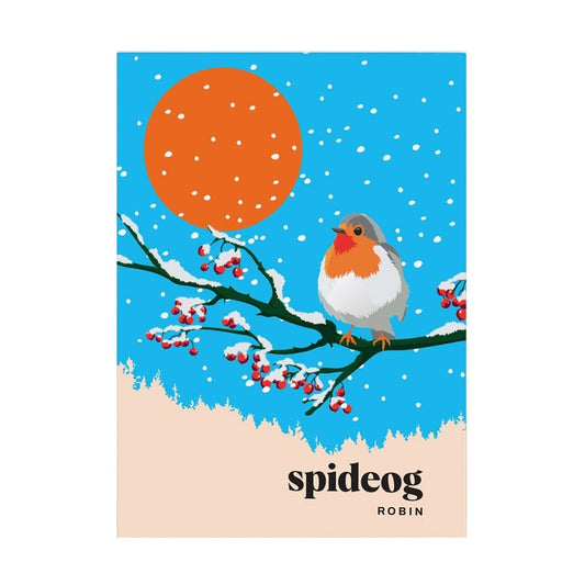 Robin Greeting Cards Box