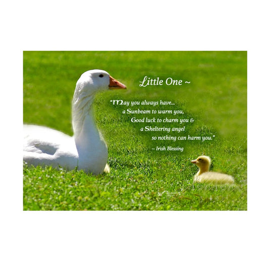 Sheltering Angel New Baby Card