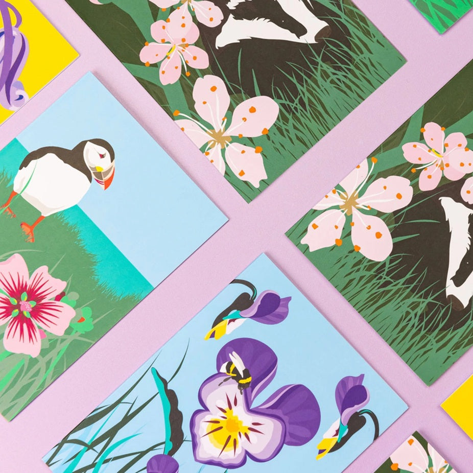 Wild Greeting Cards Box