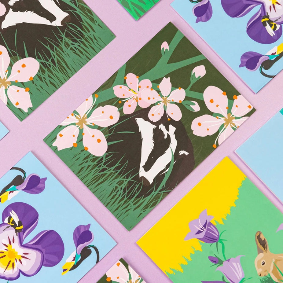 Wild Greeting Cards Box