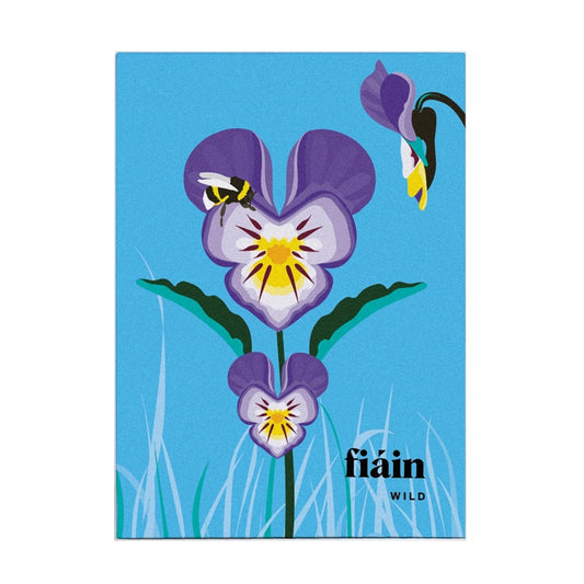 Wild Greeting Cards Box